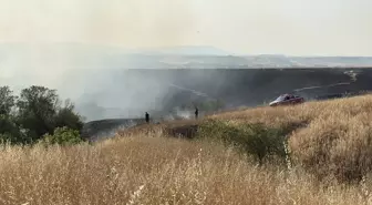 Edirne'de Buğday Tarlasında Yangın Çıktı