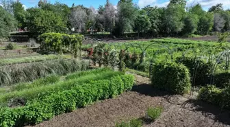 Edirne'de Koku Tüneli Açıldı