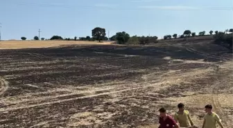 Edirne'nin Enez ilçesinde Anız Yangını Söndürüldü