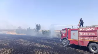 Edirne'nin Keşan İlçesinde Anız Yangını Söndürüldü