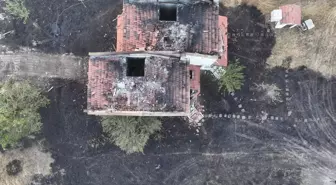 Edirne'deki Orman Yangını Kontrol Altına Alındı