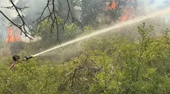Edirne'de Orman Yangınına Havan ve Karadan Müdahale