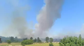 Edirne'nin Keşan ilçesinde orman yangınına müdahale sürüyor