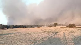 Edirne Enez'de Orman Yangınına Havadan ve Karadan Müdahale