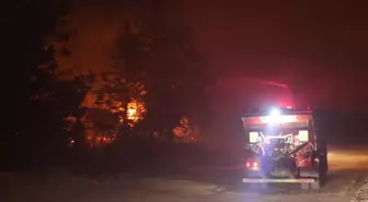 Edirne'de Orman Yangınına Müdahale Sürüyor