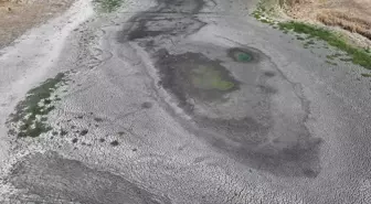 Edirne'nin Havsa ilçesinde 4 gölet kurudu