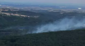 Edirne'de Orman Yangını Kontrol Altına Alındı