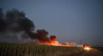 Edirne'deki Yangın Kısa Sürede Söndürüldü