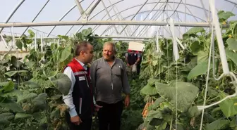 Edirne'de Sera Kapasitesi Artırımı İçin Çalışmalar Devam Ediyor