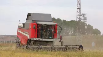 Edirne'de Çeltik Hasadı ve Trafik Eğitimi