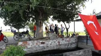 Edirne Tarım ve Orman Müdürü İncelemelerde Bulundu