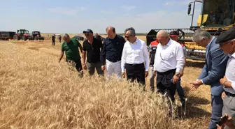 Edirne Valisi Sezer, Buğday Hasadına Destek Verdi