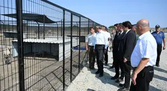 Edirne Valisi Yunus Sezer, Sahipsiz Hayvanlar İçin Doğal Yaşam Merkezini İnceledi