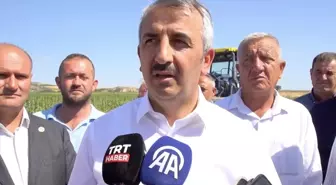 Edirne Valisi'nden Tarla Yangınlarına Karşı Uyarı