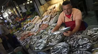 Ege Balıkçılarında Bol Av Sezonu Başladı