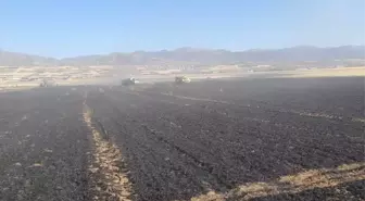 Elazığ'da Yangın: 50 Dönüm Tarım Alanı Zarar Gördü