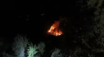 Elazığ’da Kırsal Alanda Yangın Çıktı