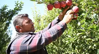 Kayseri'de Çiftçiler 'Spring Su Uygulaması' ile Elmalarını Koruyor