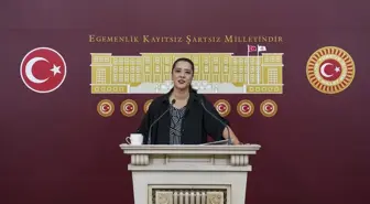 Milletvekili Demir'den Proje Okulları Yönetmeliği'ne Eleştiri