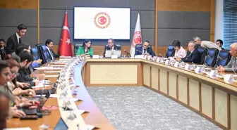 Engellilerin Sorunlarını Araştırma Komisyonu, Aile ve Sosyal Hizmetler ile Sağlık Bakanlığı yetkililerini dinledi