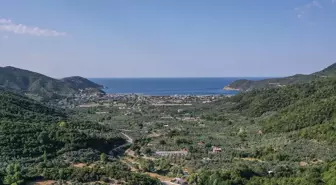 Turanköy: Berrak Deniziyle Yaz Turizminin Gözdesi