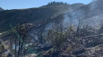 Erzurum'un İspir İlçesinde Çıkan Örtü Yangını Kontrol Altına Alındı
