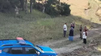 Orman Yangınlarını Önlemek İçin Denetim: İki Kişiye Ceza Kesildi