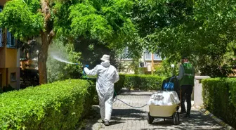 Esenyurt'ta Teke Böceğiyle Mücadele İçin İlaçlama Başlatıldı