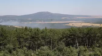 Eskişehir'de Orman Yangını Kontrol Altına Alındı