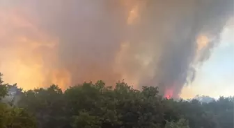Eskişehir'de Orman Yangınına Müdahale Ediliyor
