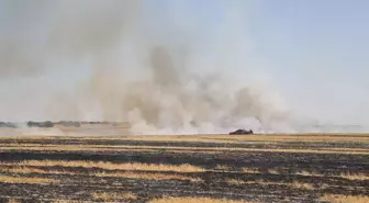 Eskişehir'de Tarım Arazisinde Yangın Çıktı