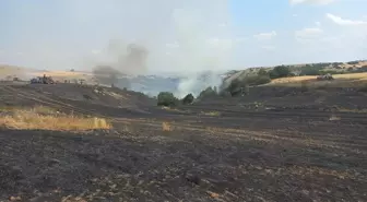 Eskişehir'de Tarım Arazisinde Yangın: Ormanlık Alanı Tehdit Etti