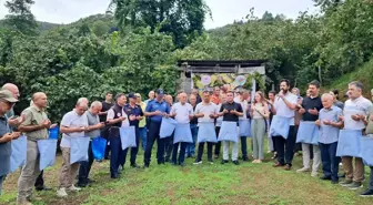 Giresun'da Fındık Hasadı Sezonu Coşkuyla Başladı