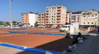 Giresun'da Üreticiler Fındığını Pazar Alanında Kurutuyor