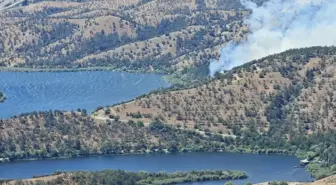 Ankara'da Eymir Gölü Yakınında Yangın Çıktı