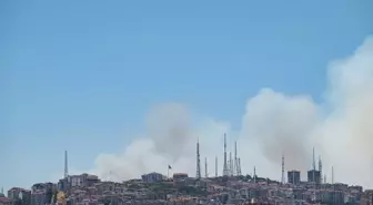 Ankara'da Eymir Gölü Yakınında Orman Yangını