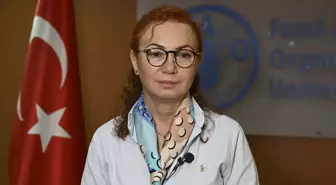 FAO'ya göre, her yıl 600 milyon kişi gıda kaynaklı hastalıklarla savaşıyor