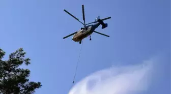 Fethiye'de Orman Yangını Kısa Sürede Söndürüldü