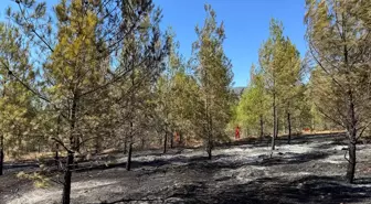 Fethiye'de Orman Yangınına Hızla Müdahale