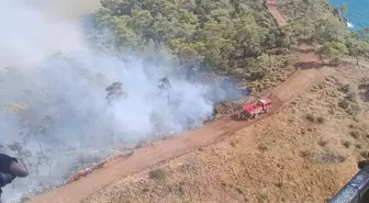 Fethiye'de Orman Yangınına Müdahale Başlatıldı