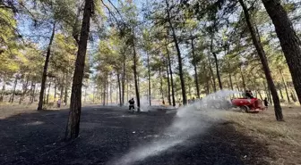 Fethiye'de Orman Yangını Söndürüldü