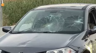 Fethiye'de Otomobilin Çarptığı Yabancı Kadın Ağır Yaralandı