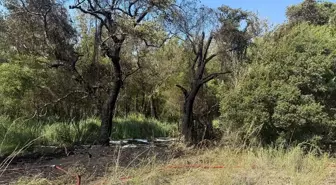 Fethiye'de Orman Yangını Kısa Sürede Kontrol Altına Alındı