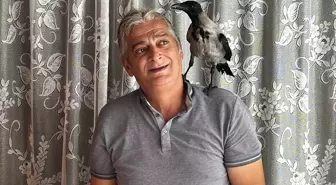 Fındık Üreticisinin Kargası, Mahallenin Maskotu Oldu
