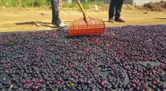 Gaziantep'te Yöresel Üzümlerin Kurutulmasına Başlandı