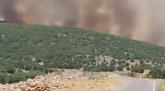 Gaziantep'te Orman Yangınına Müdahale Devam Ediyor