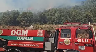 Gaziantep'te Orman Yangını Kontrol Altına Alındı