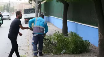 Gaziantep'te Kuvvetli Rüzgar Hayatı Olumsuz Etkiledi