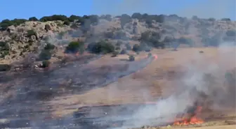 Gaziantep'te Anız Yangını Kontrol Altına Alındı