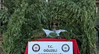 Gaziantep'te Uyuşturucu Operasyonu: 3 Gözaltı